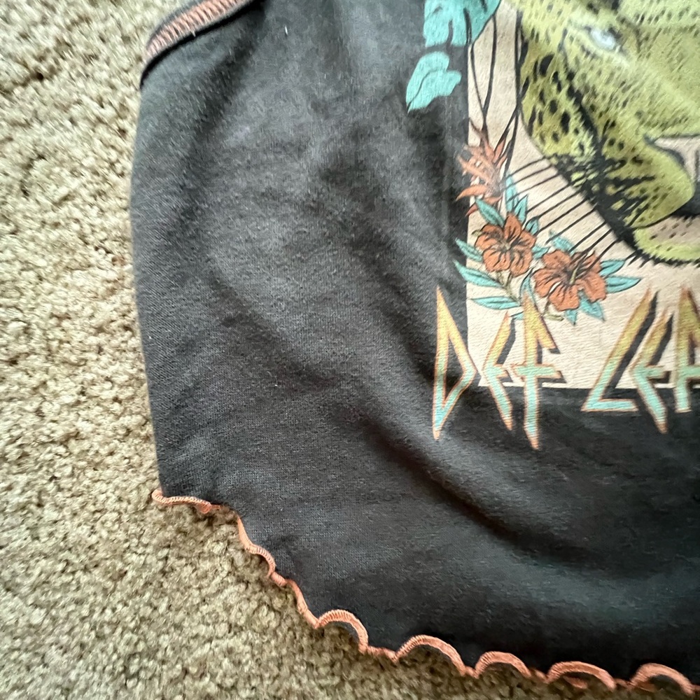 Def Leppard Crop Top🩶🐆 - Picture 5 of 6